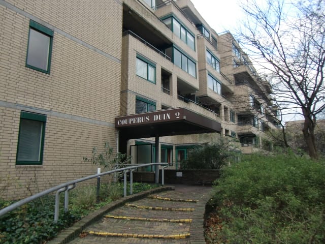 Burgemeester Patijnlaan 488 