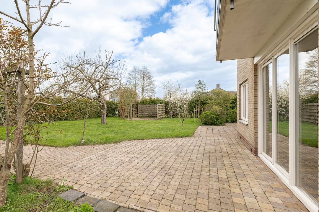 Photo 38 of Klepel 4