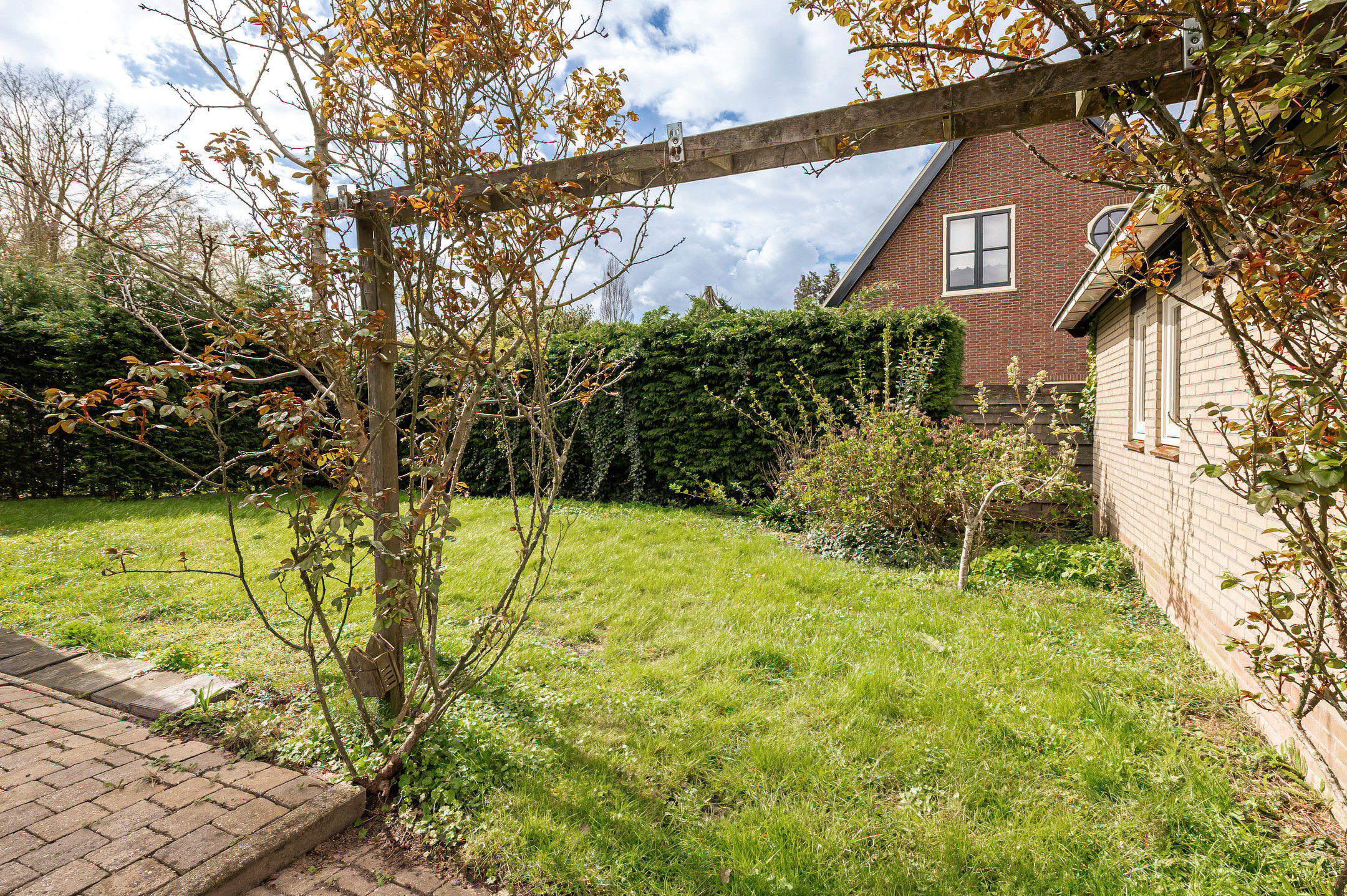 Photo 36 of Klepel 4