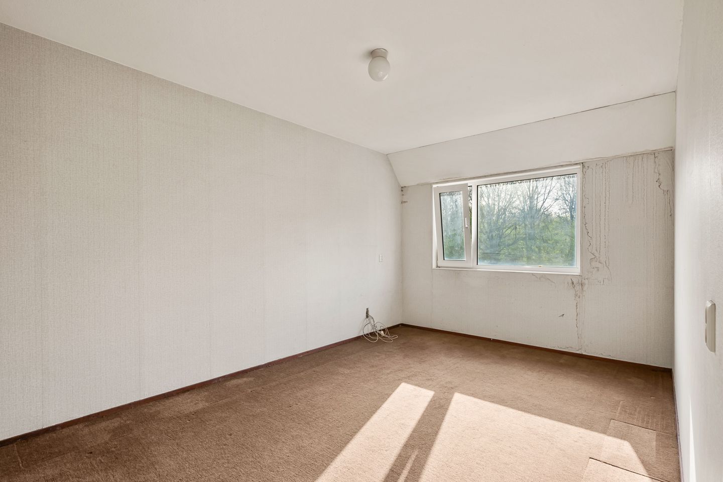 Foto 10 van Snoeksloot 90