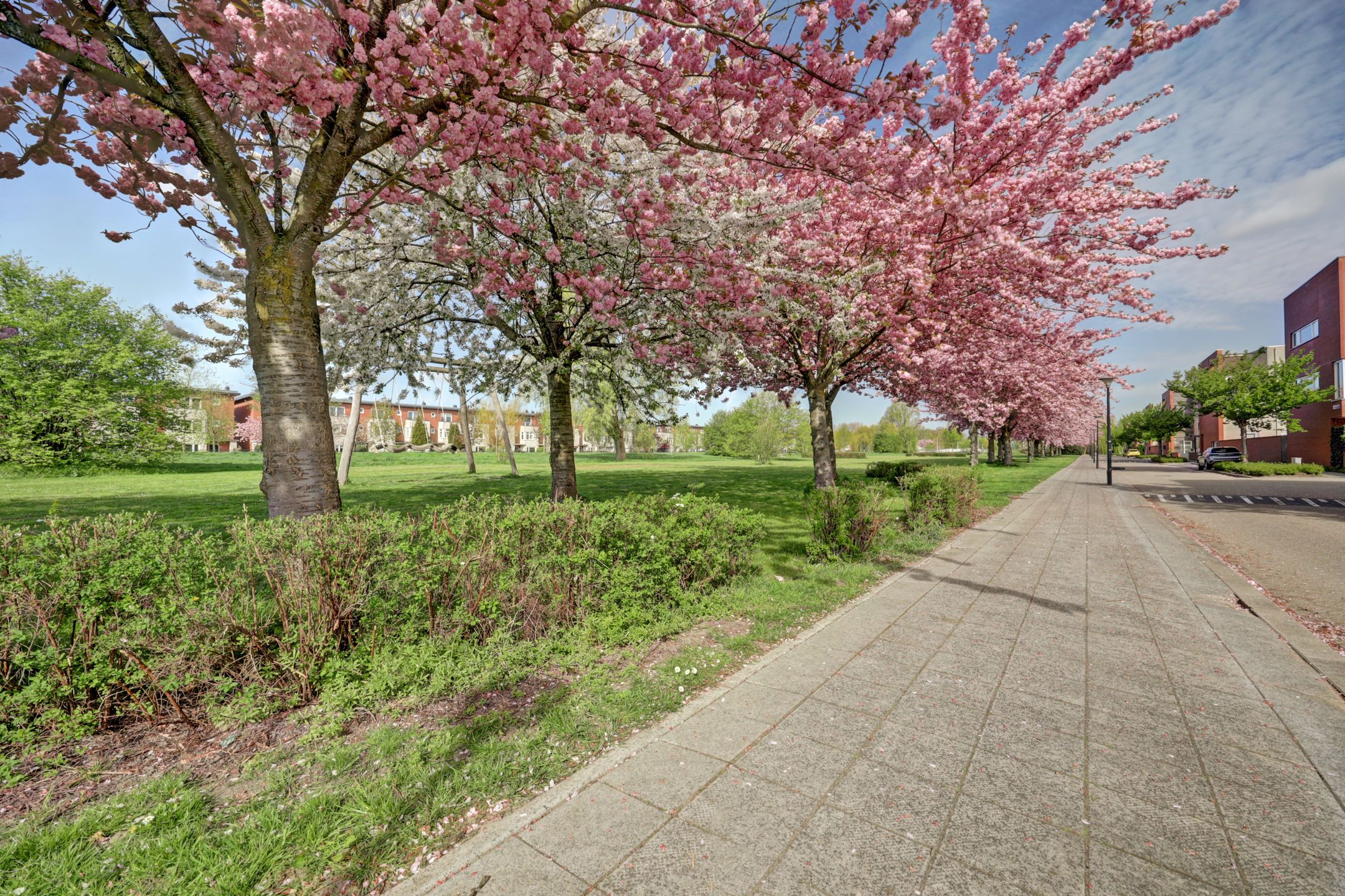 Foto 3 van Dageraadstraat 26