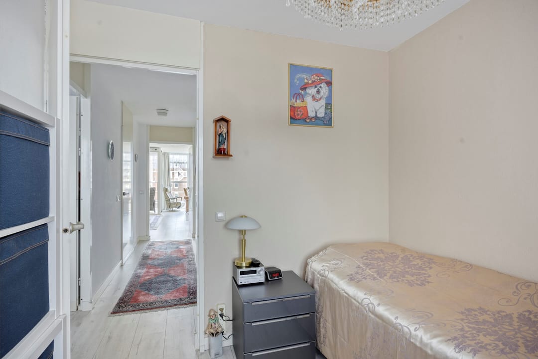 Foto 16 van Palaceplein 219