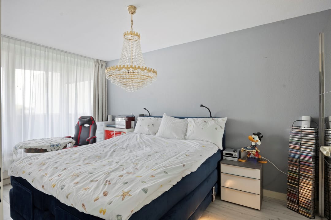 Foto 11 van Palaceplein 219