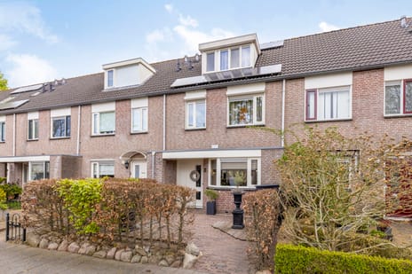 Veenlanden thumbnail