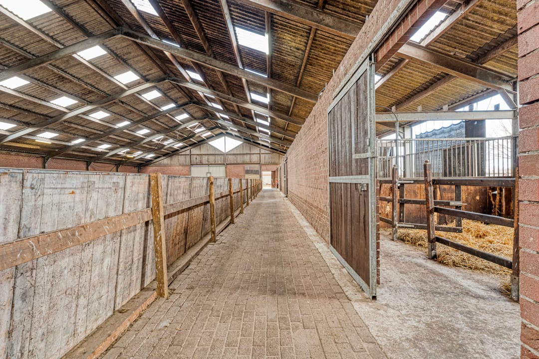 Foto 52 van Wissenweg 12