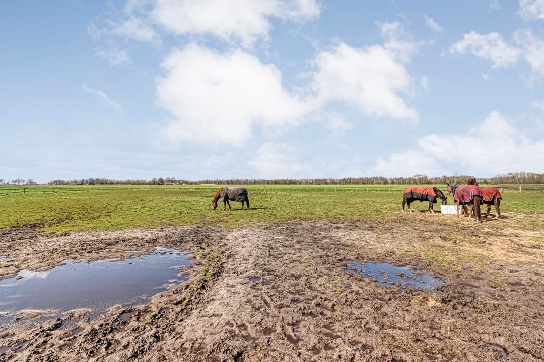 Foto 73 van Wissenweg 12