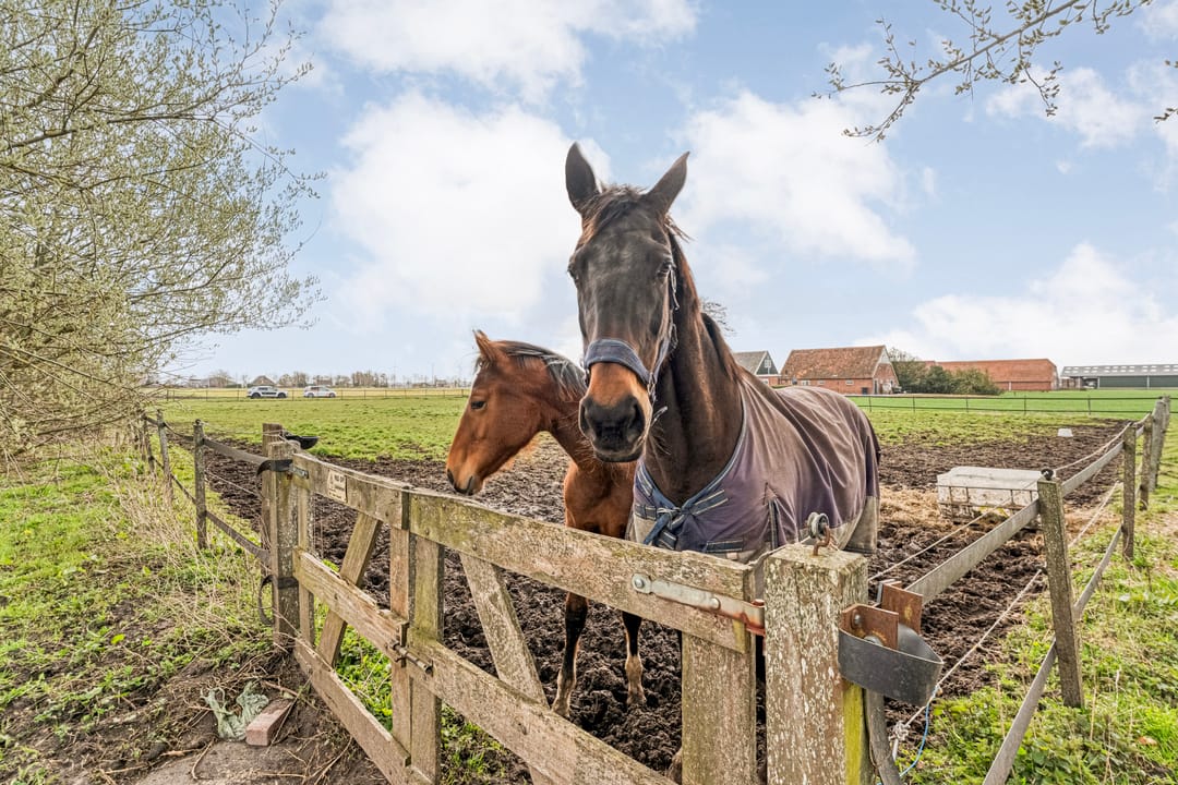 Foto 67 van Wissenweg 12