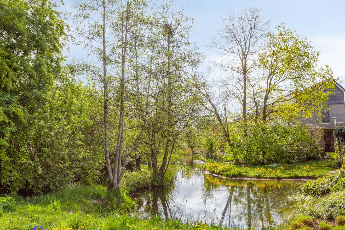 Foto 40 van Harnas 43