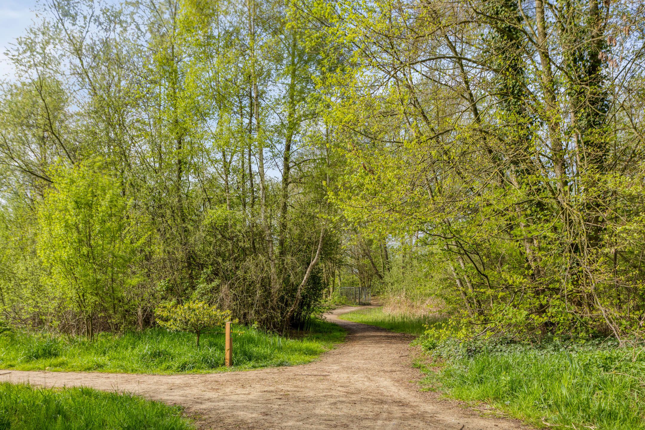 Foto 42 van Harnas 43