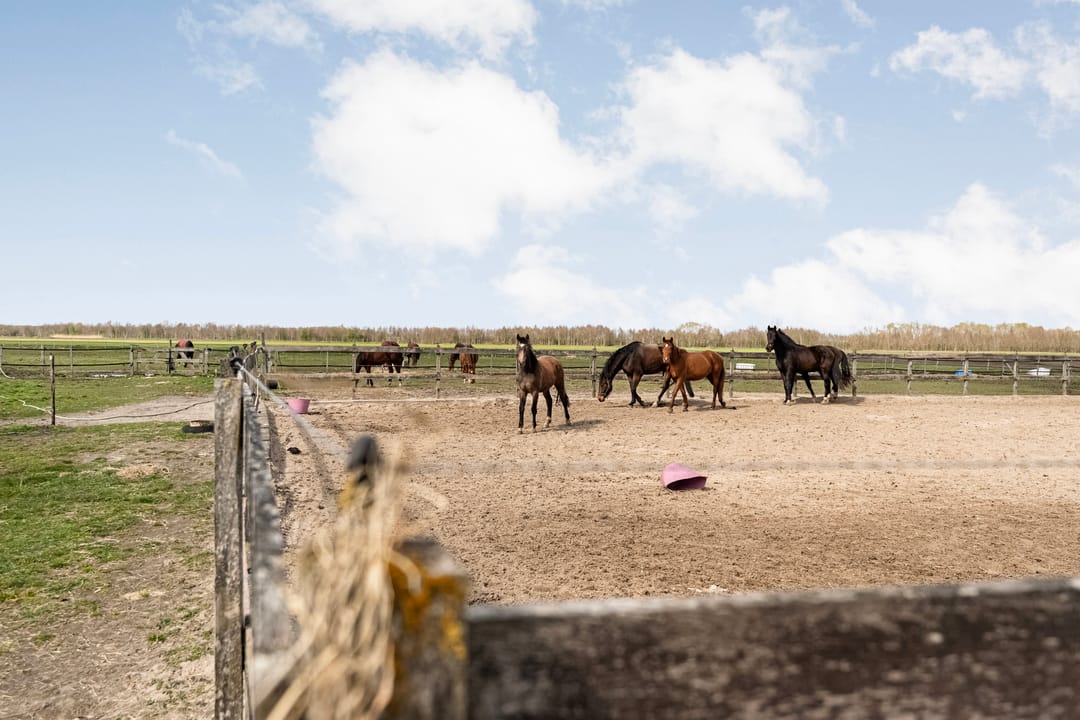 Foto 71 van Wissenweg 12