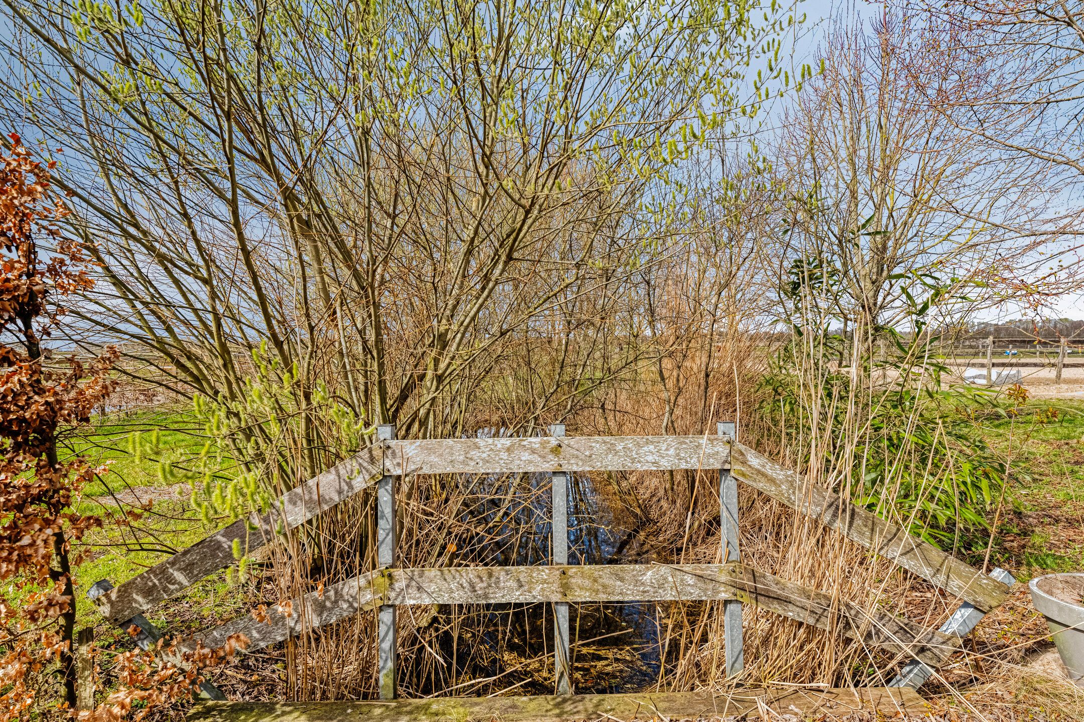 Foto 66 van Wissenweg 12