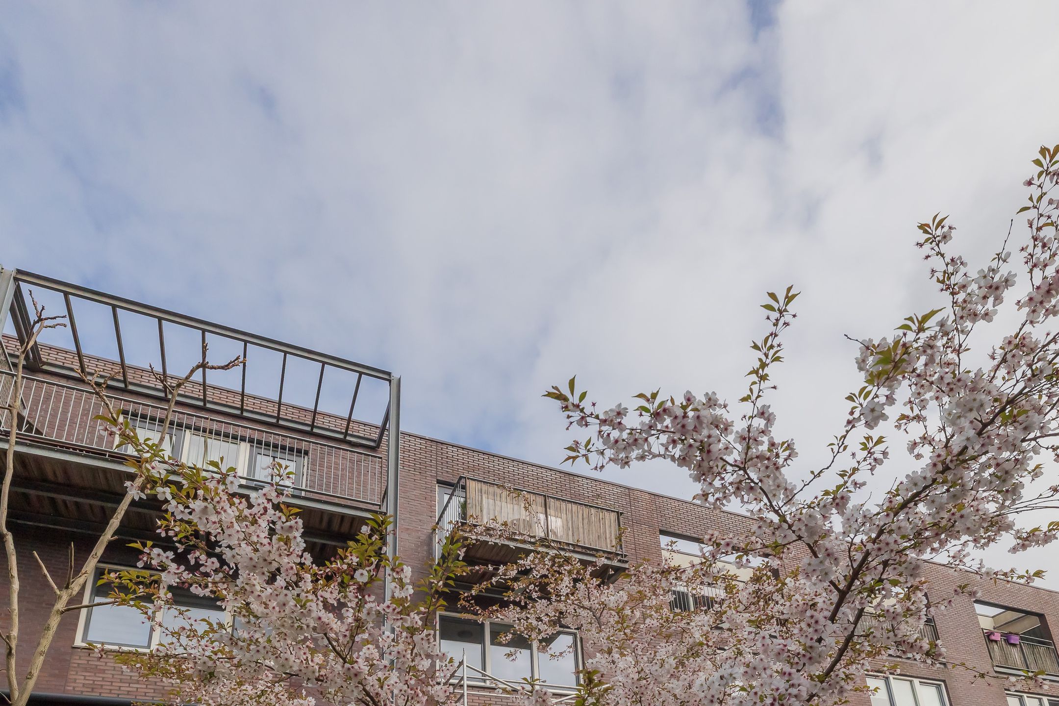 Foto 18 van Leeuwendalersweg 15-G