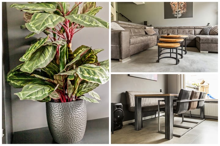 Foto 4 van Stoelenmakerslaan 66