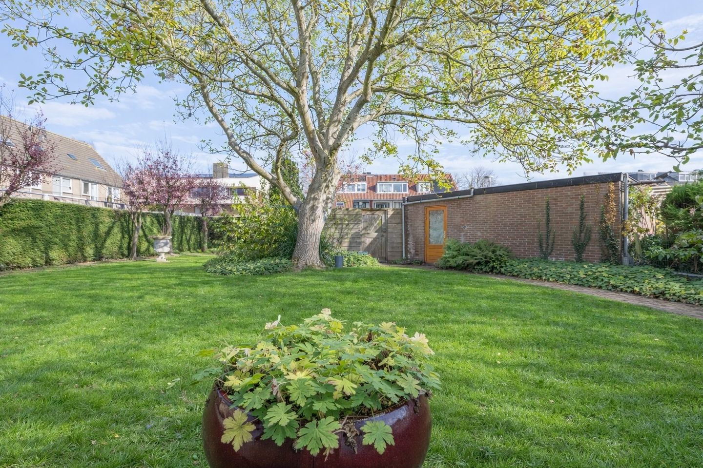 Foto 4 van Leidsevaartlaan 35