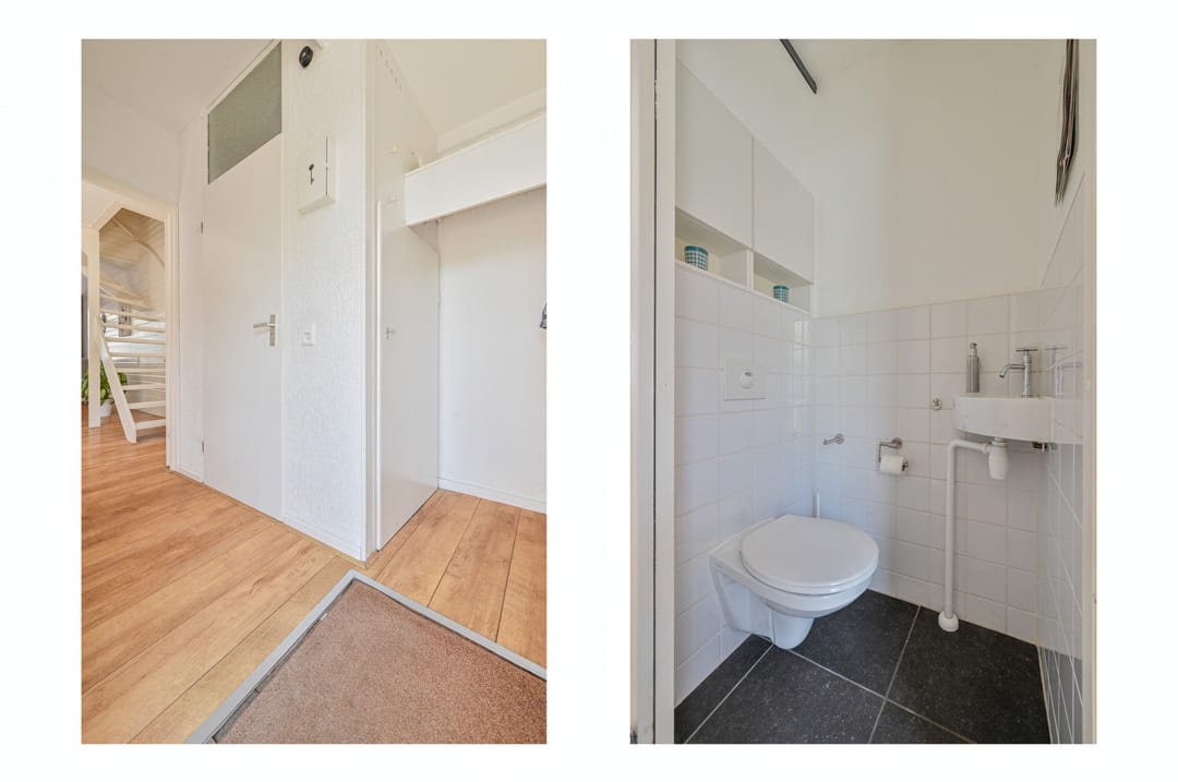 Photo 11 of Kievit 31