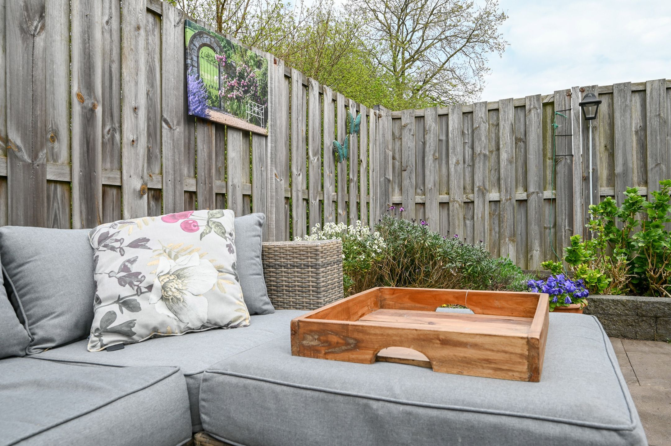 Photo 30 of Kievit 31