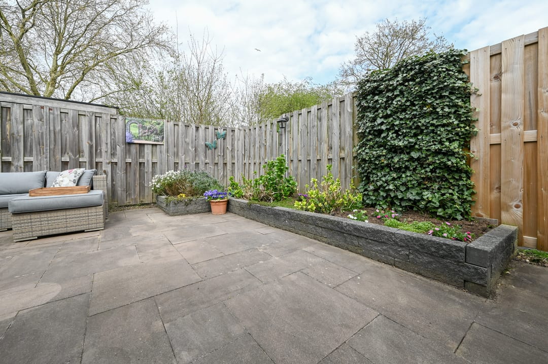 Photo 28 of Kievit 31