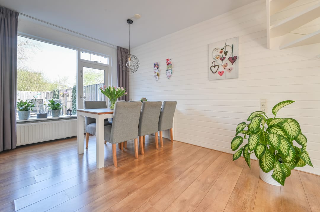 Photo 7 of Kievit 31