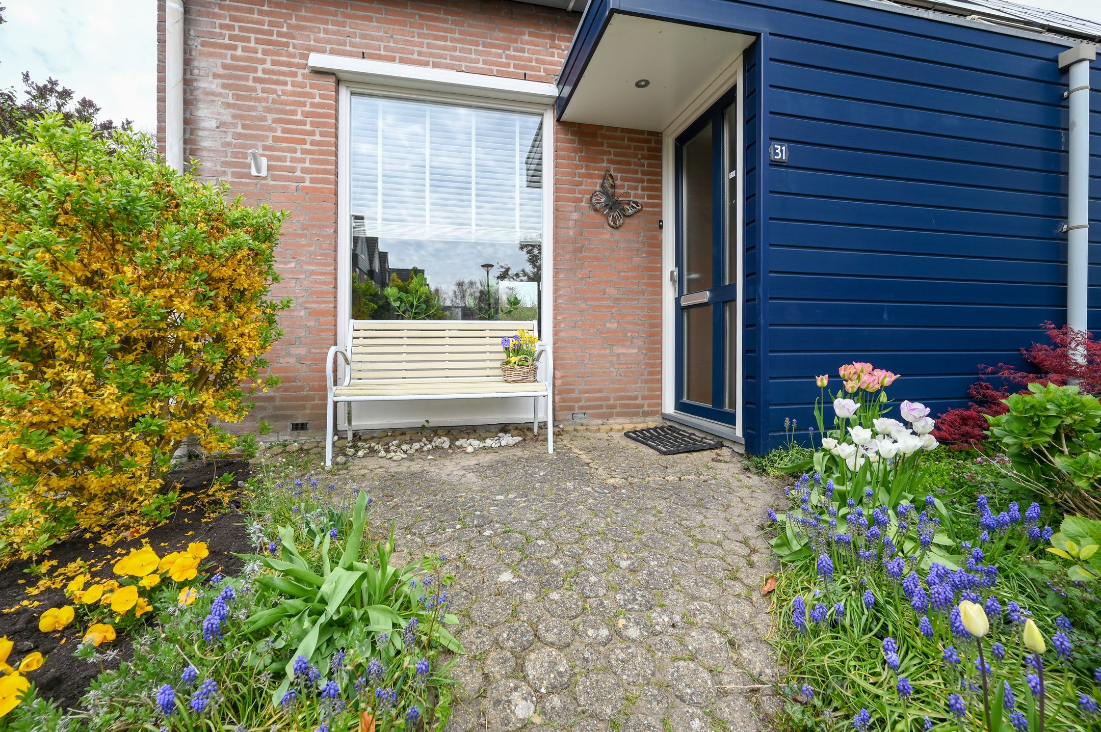 Photo 33 of Kievit 31