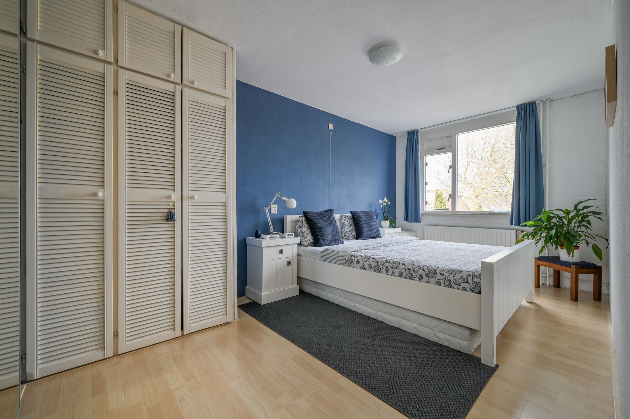 Photo 12 of Kievit 31