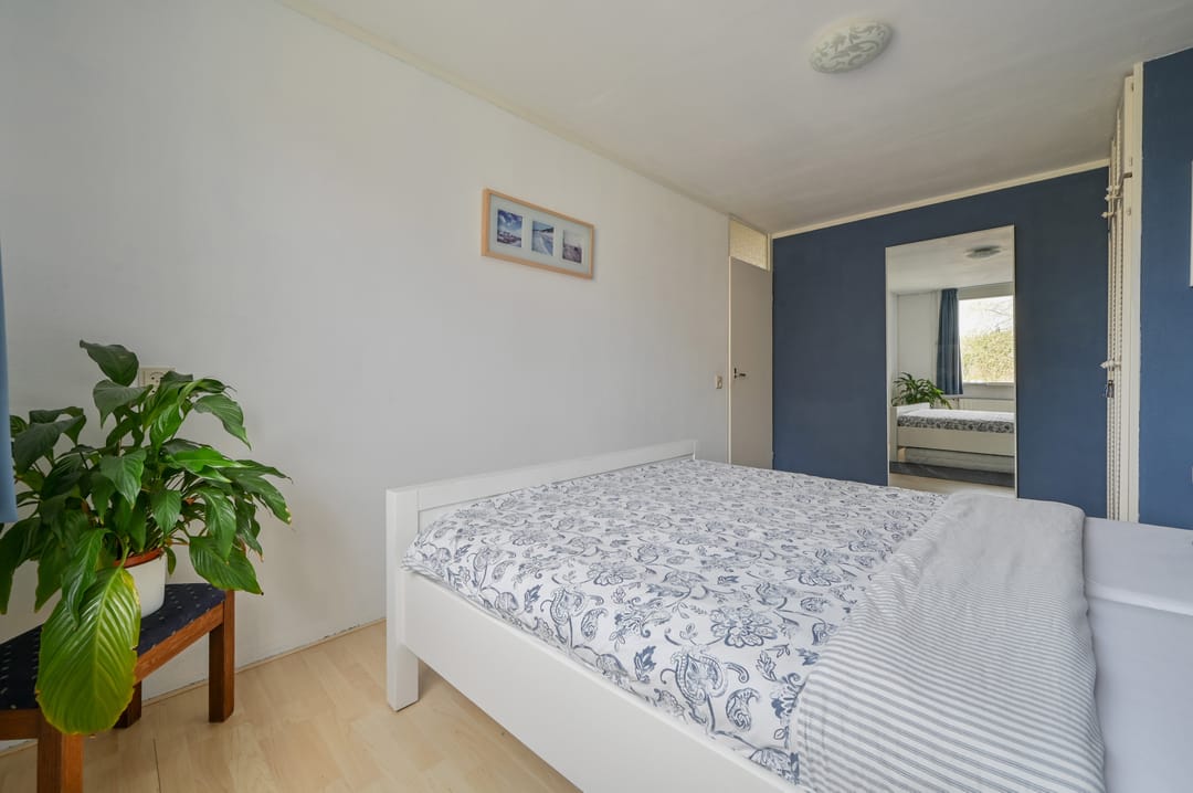 Photo 13 of Kievit 31