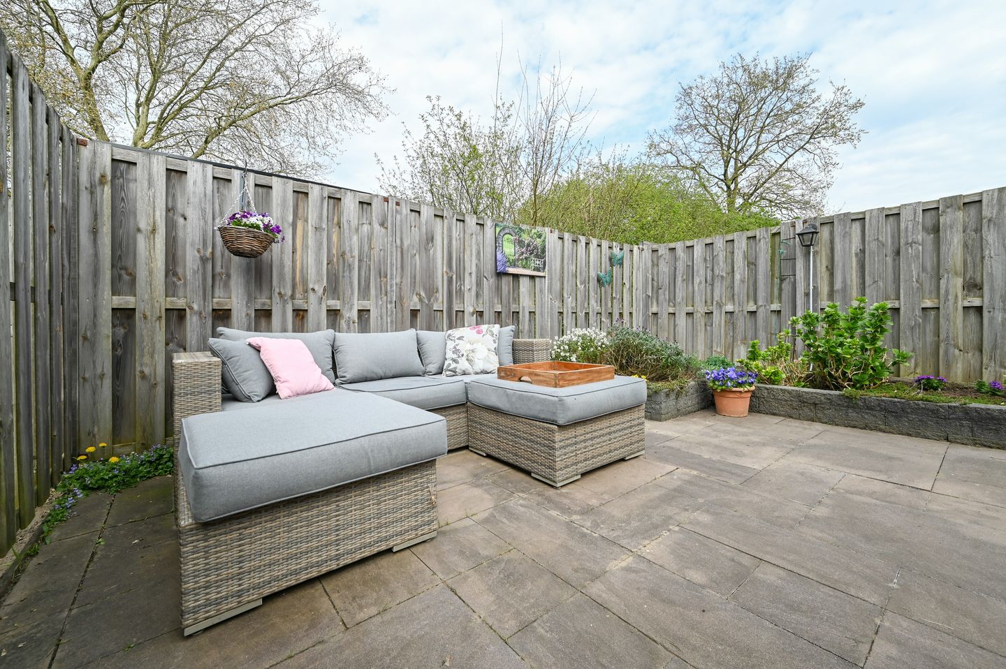 Photo 29 of Kievit 31