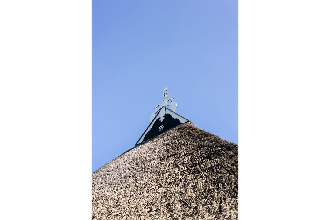 Foto 11 van Sanjesreed 12