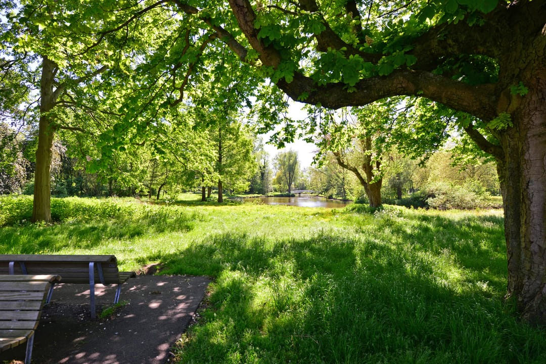 Photo 43 of Benkoelenstraat 3