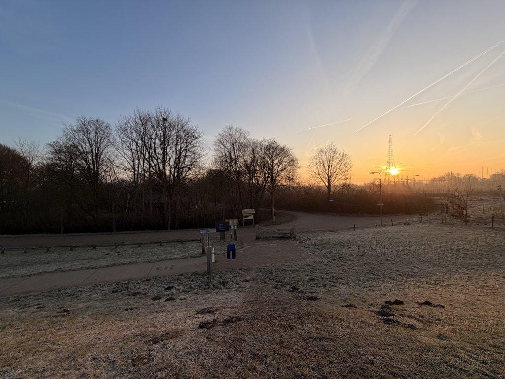 Photo 25 of Prof. Feldmannweg 22