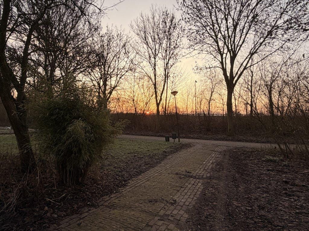 Photo 26 of Prof. Feldmannweg 22