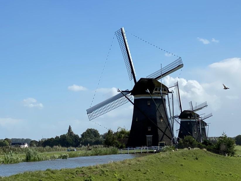 Foto 4 van Doctor van Noortstraat 113