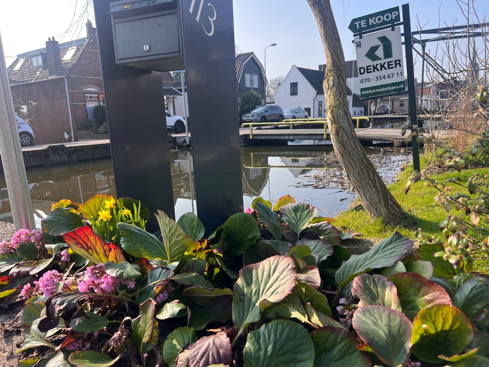 Foto 57 van Doctor van Noortstraat 113