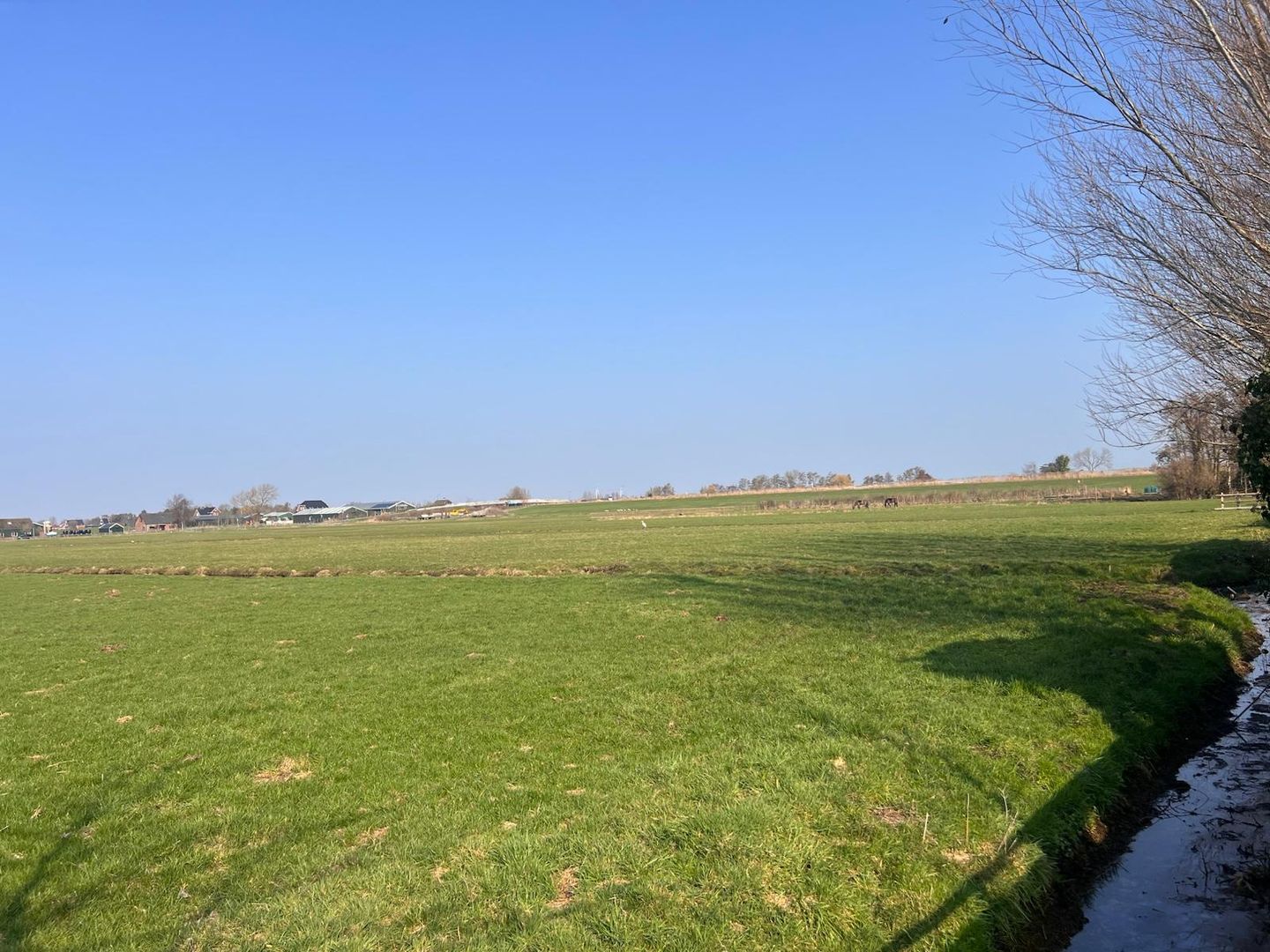 Foto 59 van Doctor van Noortstraat 113