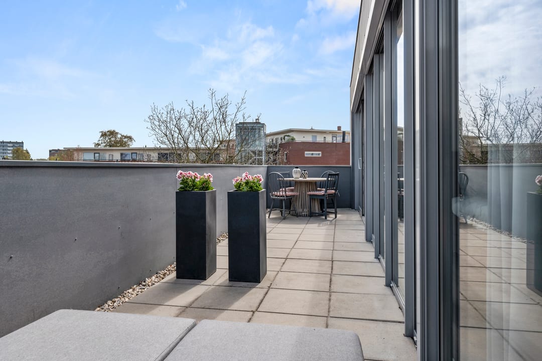 Foto 31 van Paul Heijhof 19