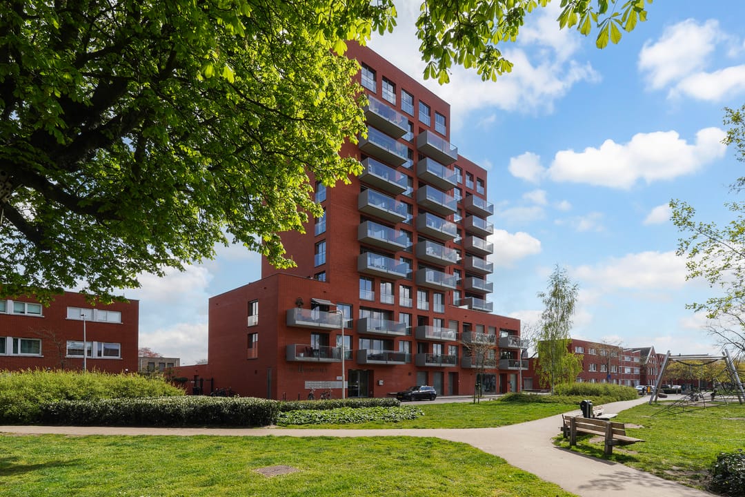 Photo 8 of Sint Pieterspark 63