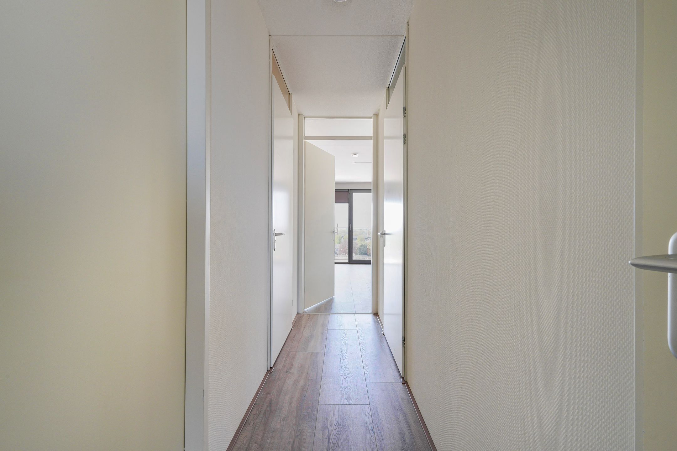 Photo 39 of Sint Pieterspark 63