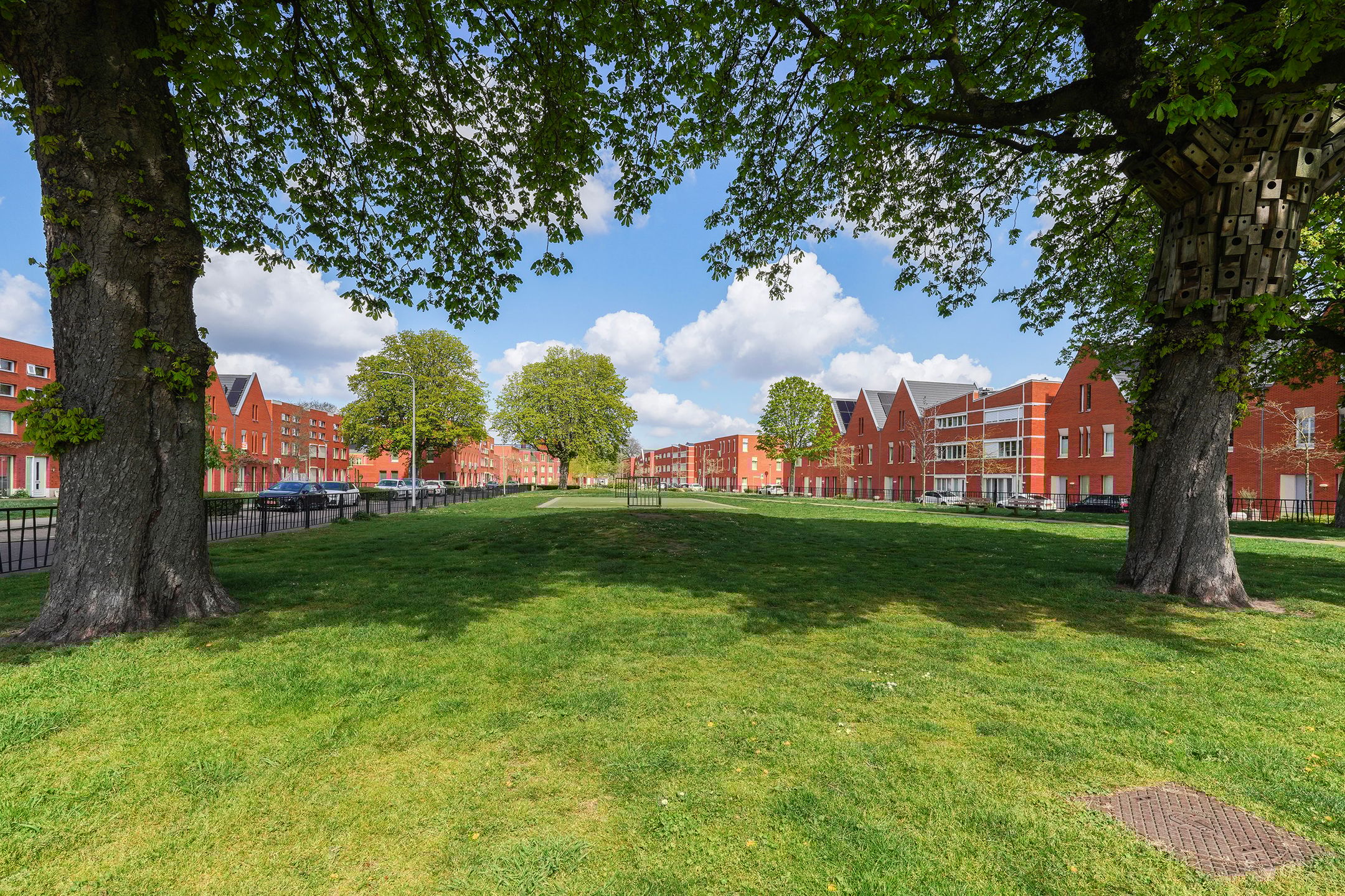 Photo 9 of Sint Pieterspark 63