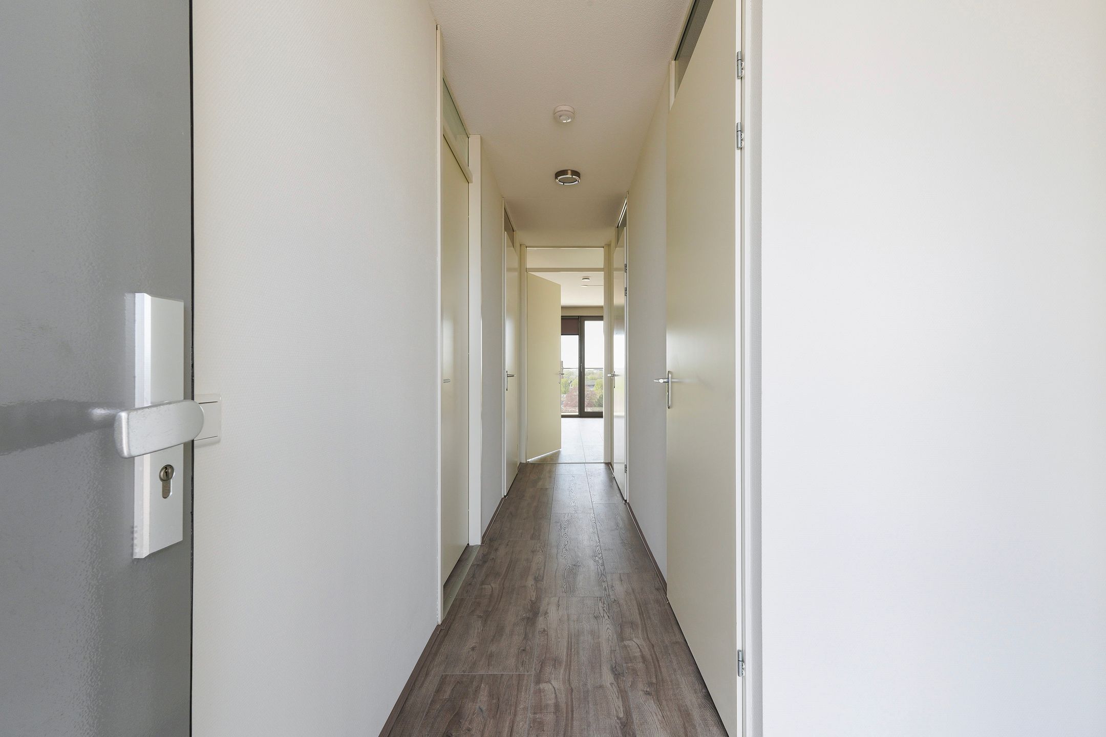 Photo 24 of Sint Pieterspark 63