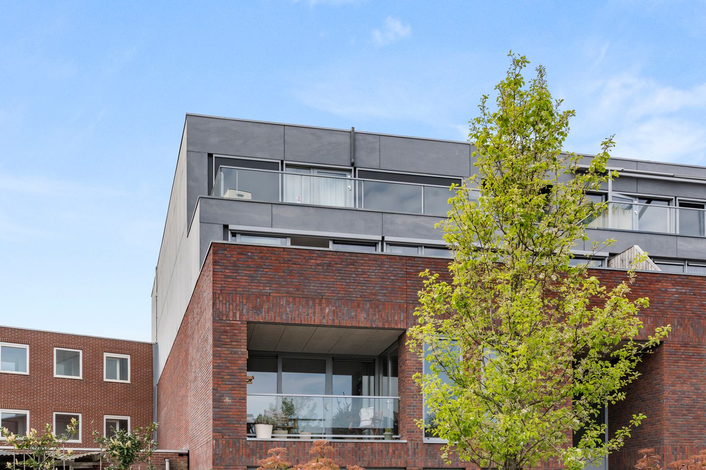 Foto 35 van Paul Heijhof 19