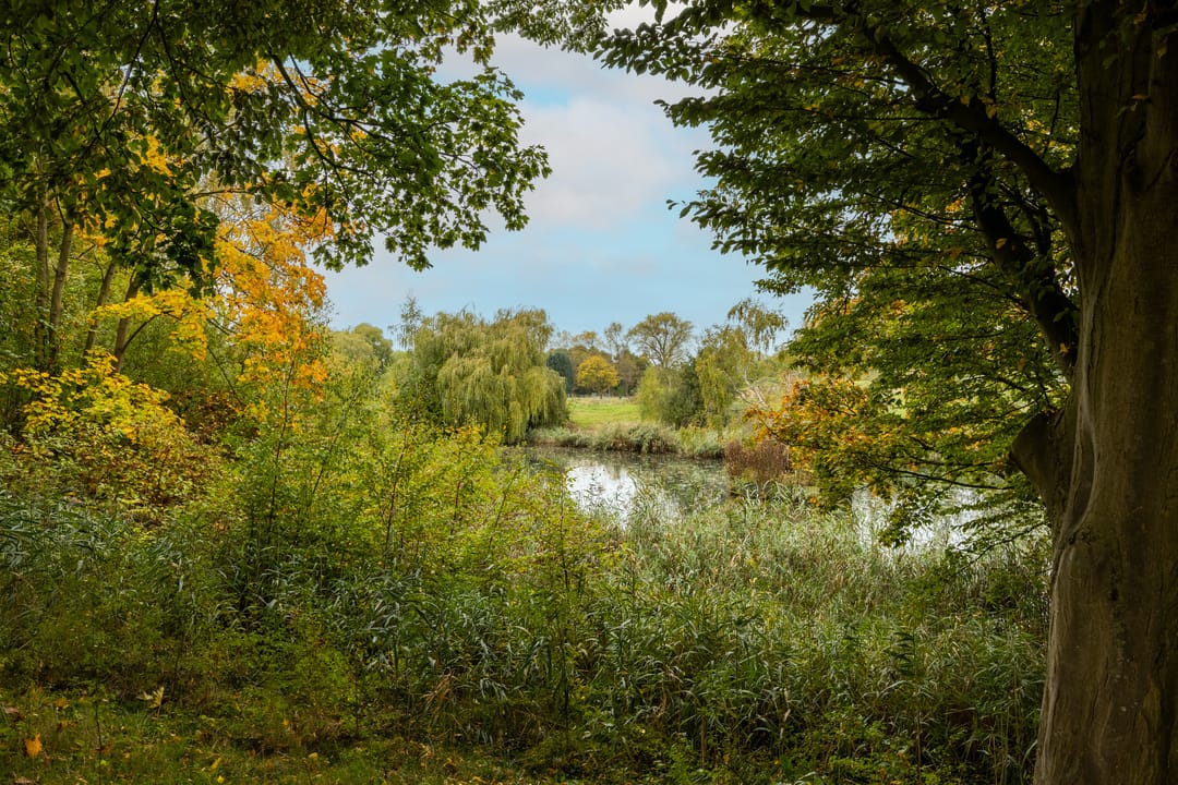 Foto 61 van Hamstraat 3