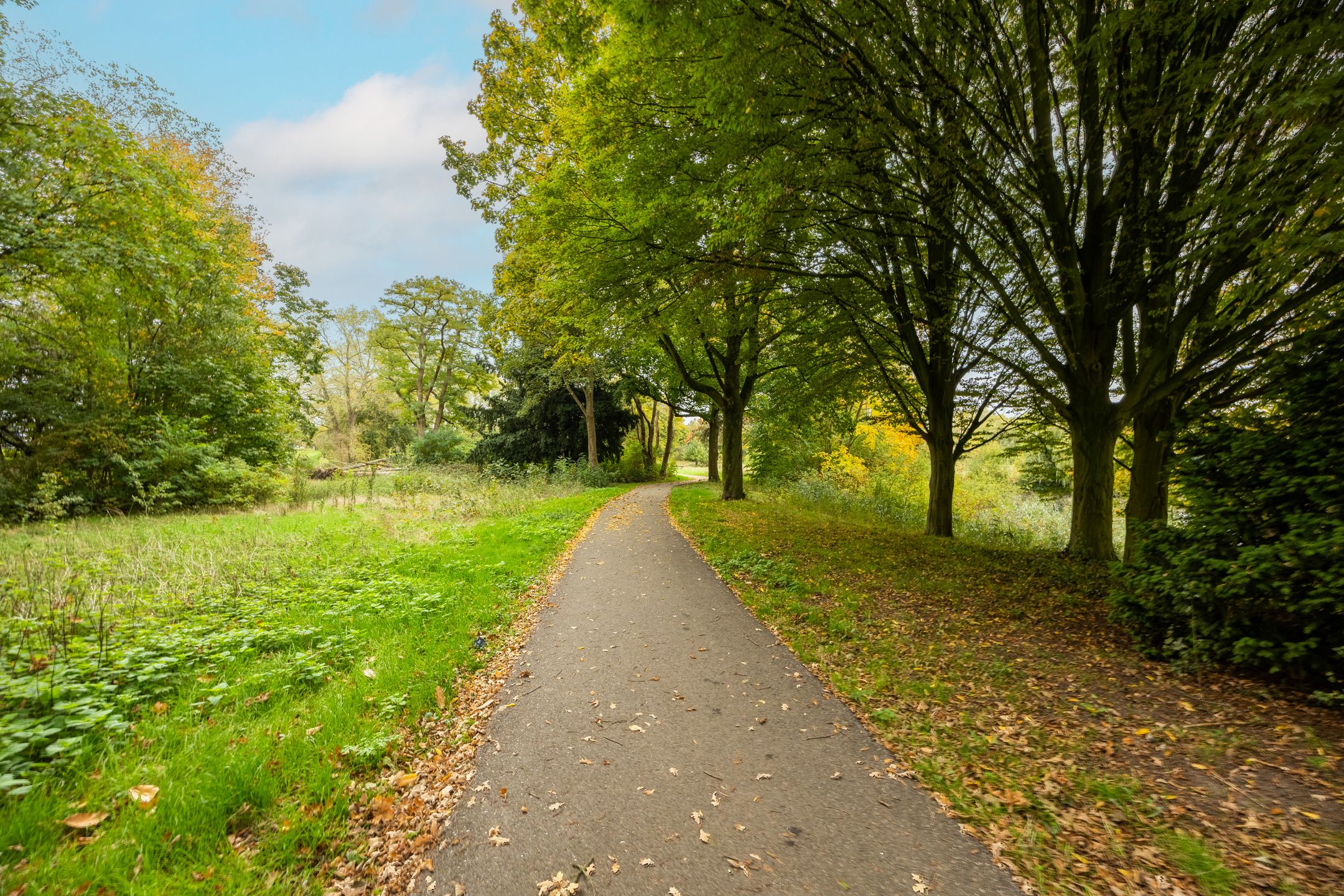 Foto 60 van Hamstraat 3