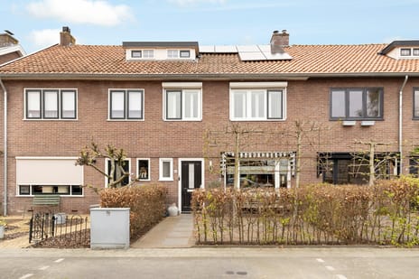 undefined main image