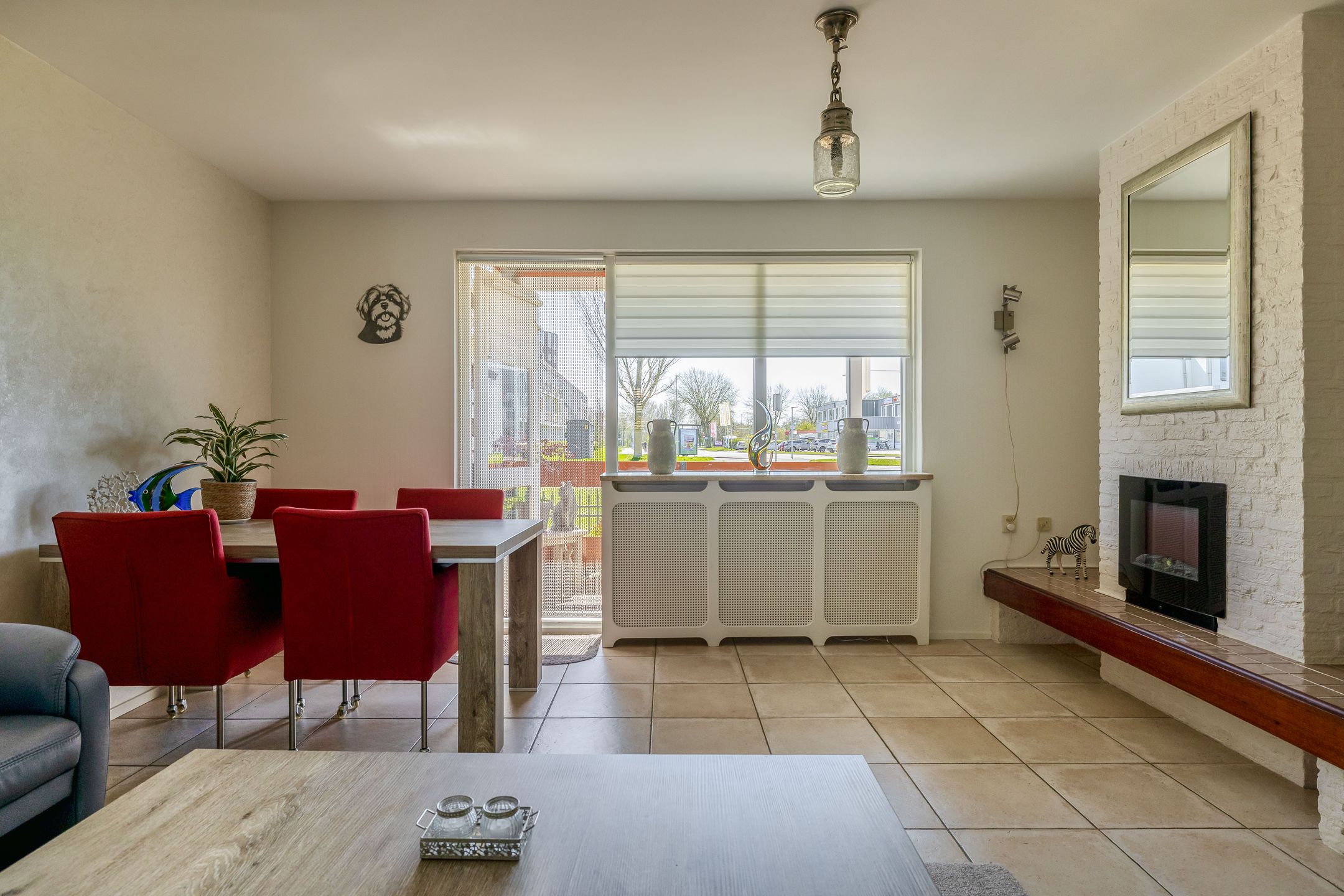 Foto 12 van Orion 20