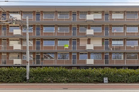 Van Borselenstraat thumbnail