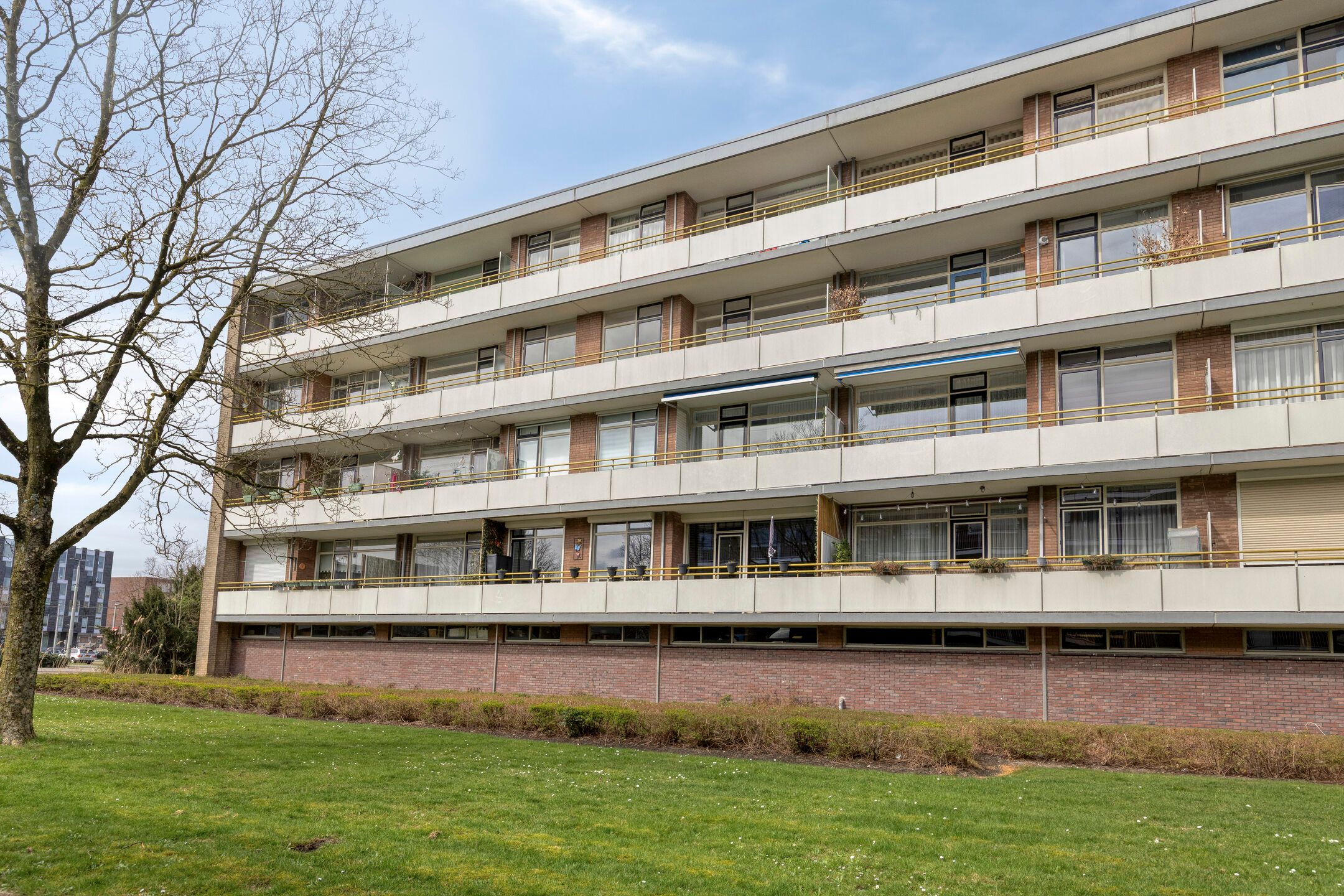 Photo 27 of Van Borselenstraat 38