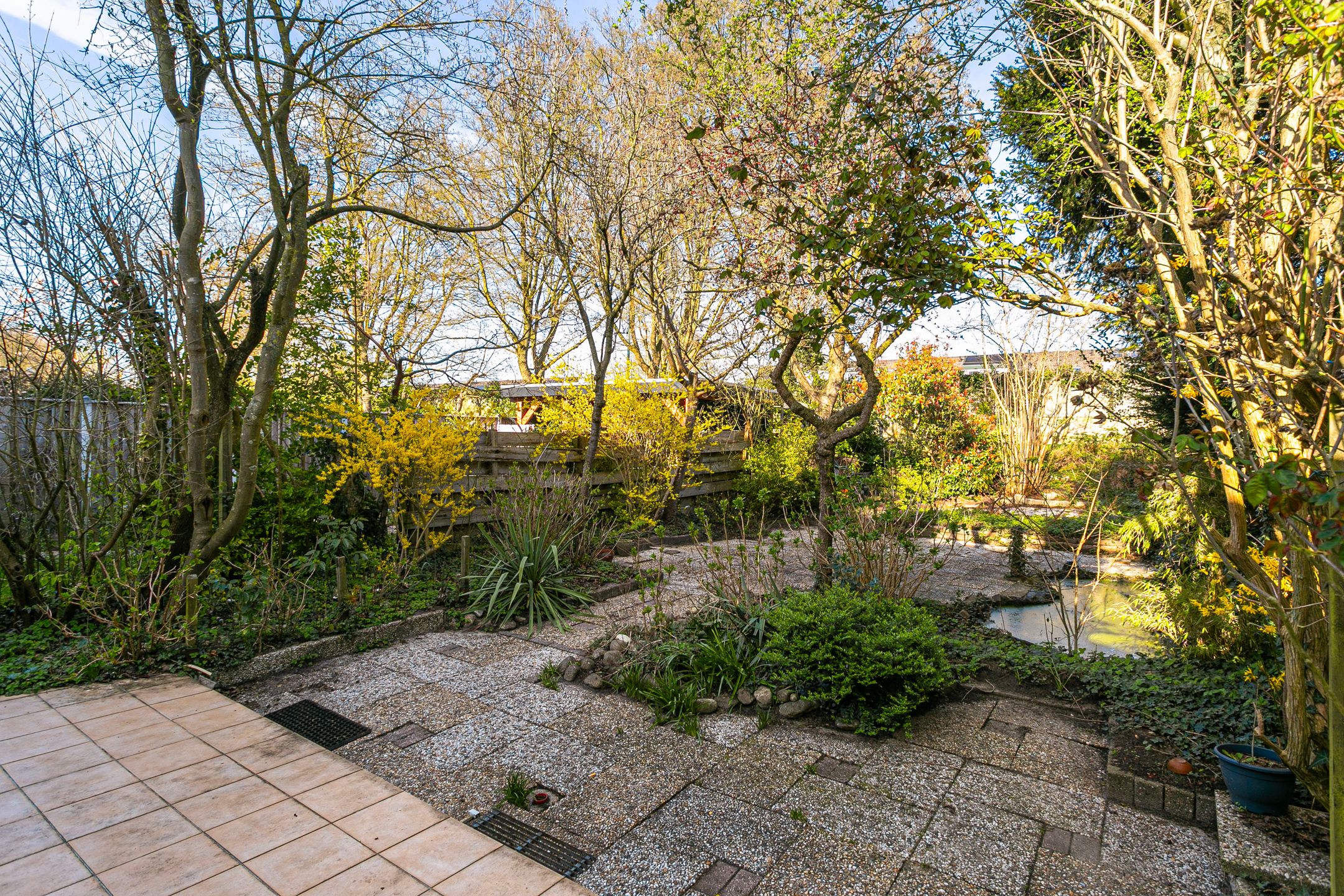 Photo 18 of Boomstede 279