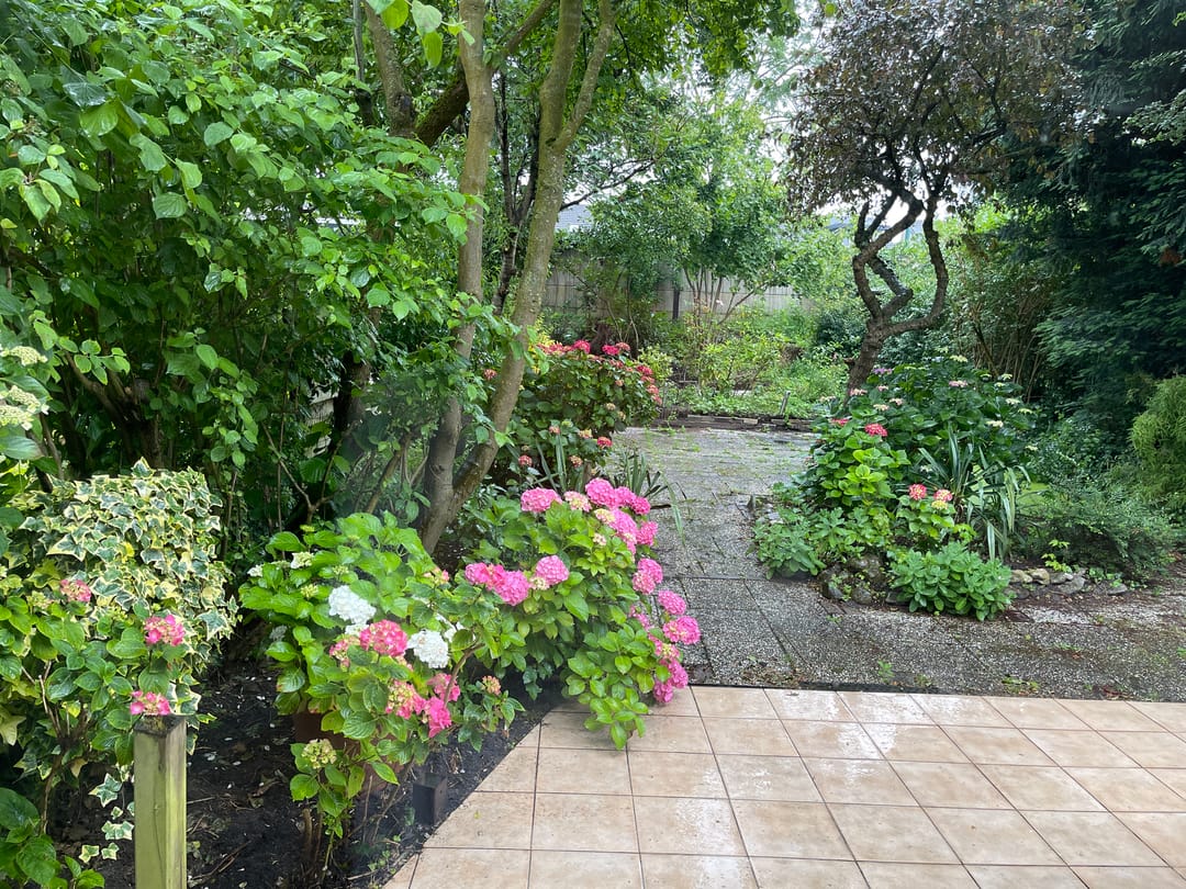 Photo 26 of Boomstede 279