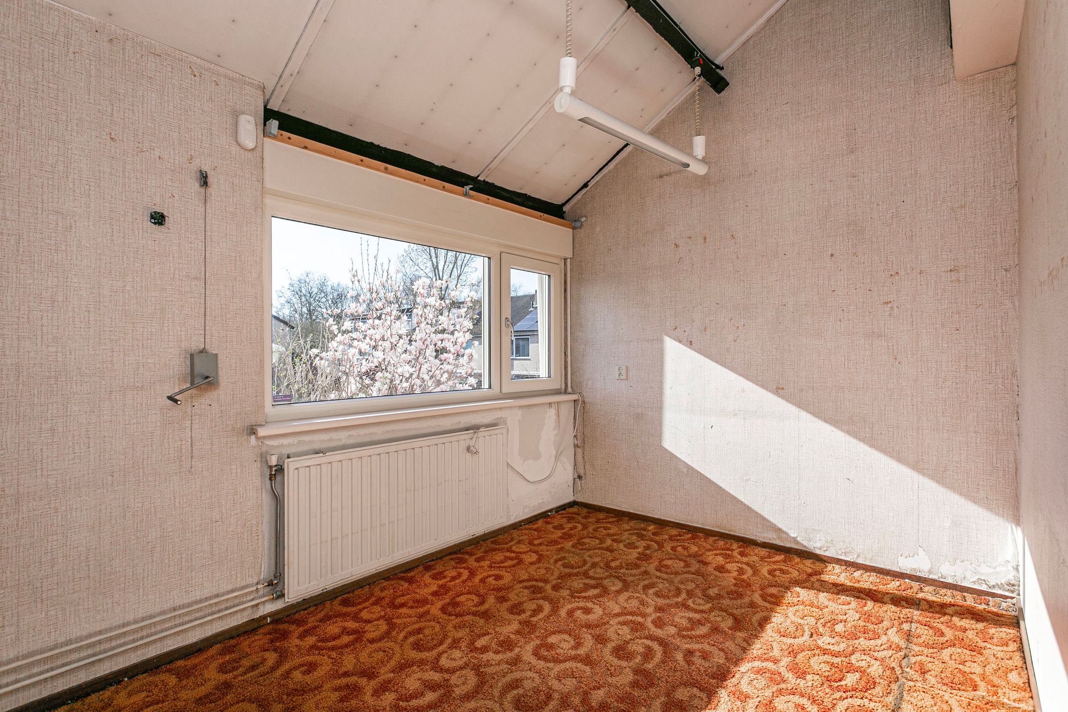 Photo 33 of Boomstede 279