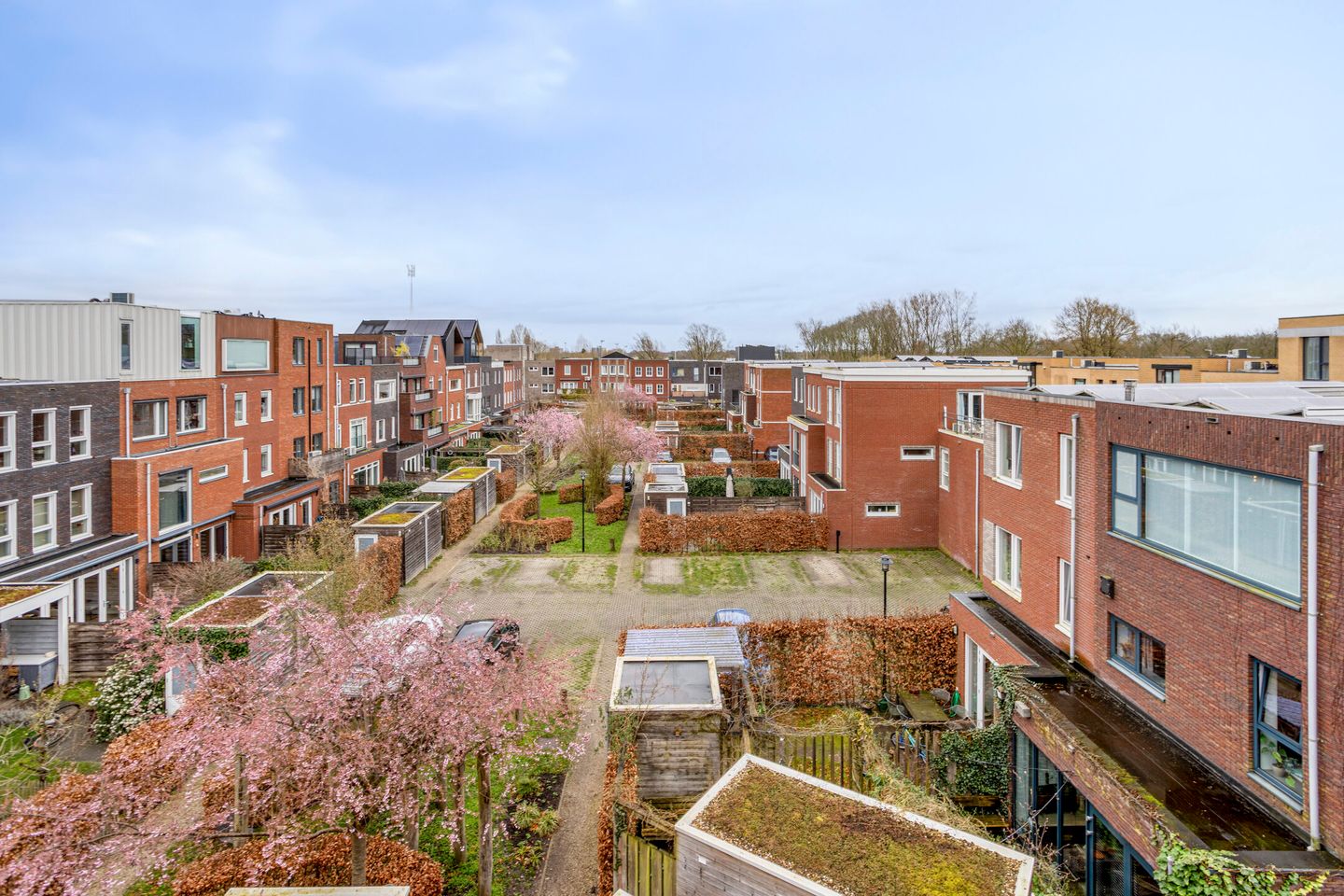 Foto 35 van Lippizanerstraat 25