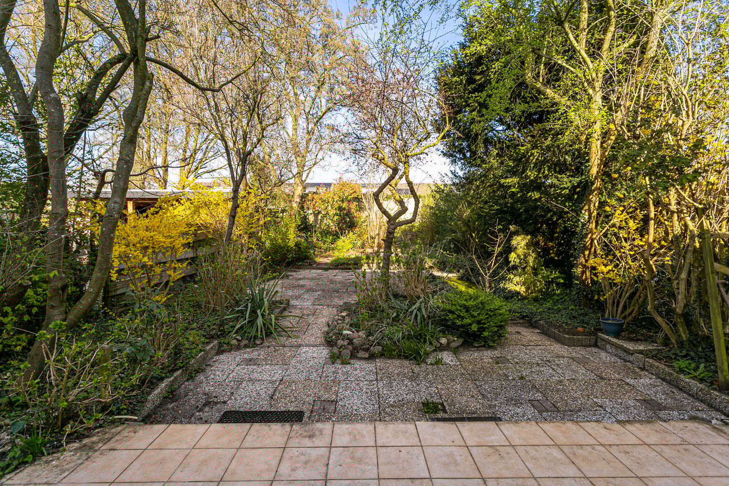 Photo 19 of Boomstede 279